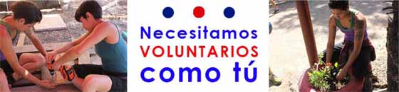 cabecera-voluntarios_560