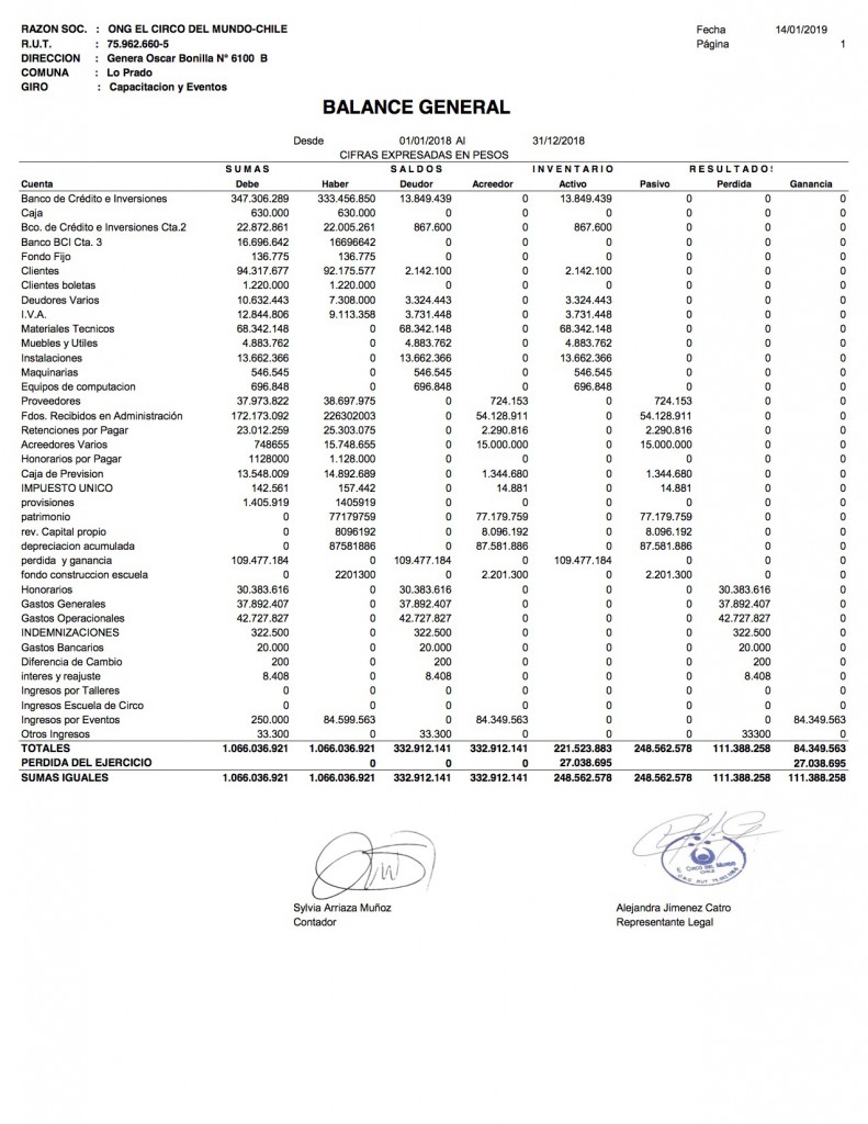 BALANCE GENERAL 31-12-2018 ONG